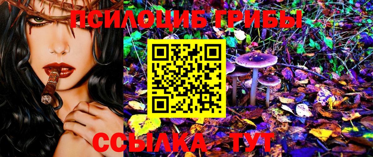 Галлюциногенные грибы Psilocybine cubensis Кудрово