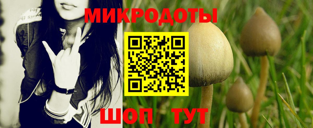 Кудрово  Галлюциногенные грибы MAGIC MUSHROOMS  Вход с VPN 